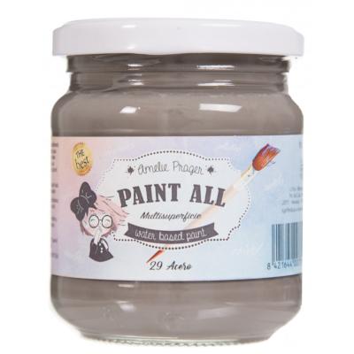 PAINT ALL 29 ACERO - 180 ML