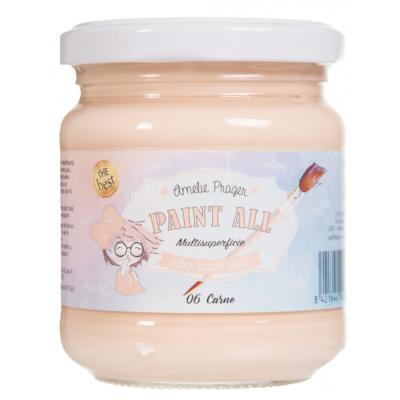 PAINT ALL 06 CARNE - 180 ML